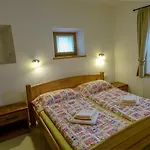 アパート Apartmaji Pri Marodnu *