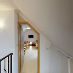 Apartmaji Pri Marodnu 公寓 博希尼