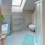 公寓 Apartmaji Pri Marodnu 博希尼