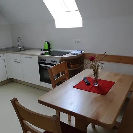 Apartmaji Pri Marodnu דירה