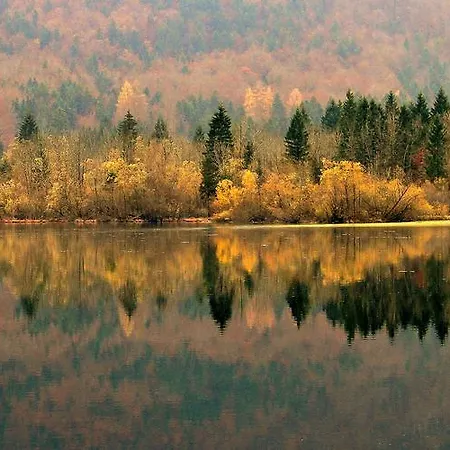 Apartment Apartmaji Pri Marodnu Bohinj
