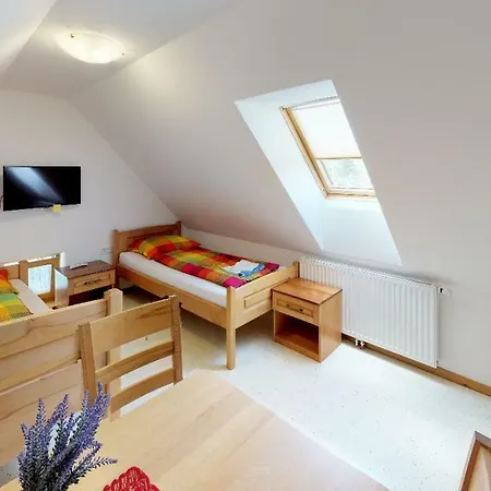 Apartmaji Pri Marodnu Appartamento Bohinj